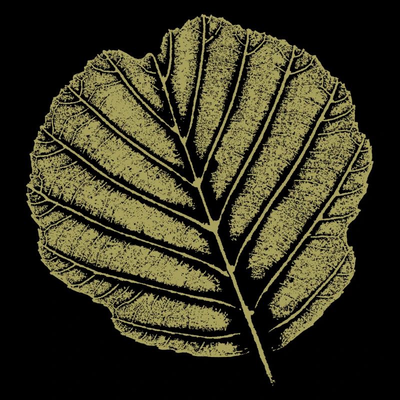Leaf Alder / KHAKI