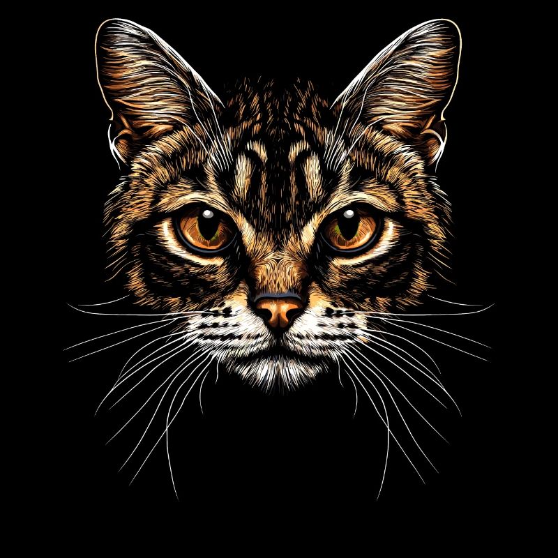 Bengal Katze Leopard Cat Leopardette Bengal Katzen