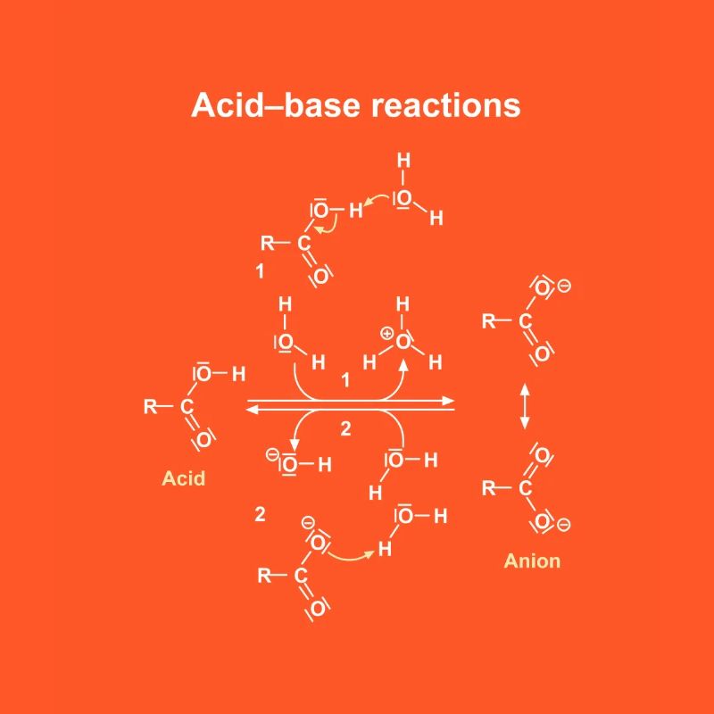 Réactions Acide Base Illustrées