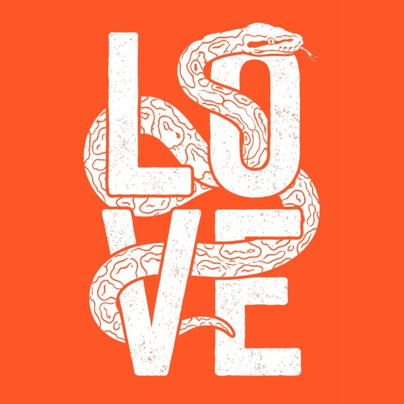Königspython Schlangen LOVE Terrarium Python