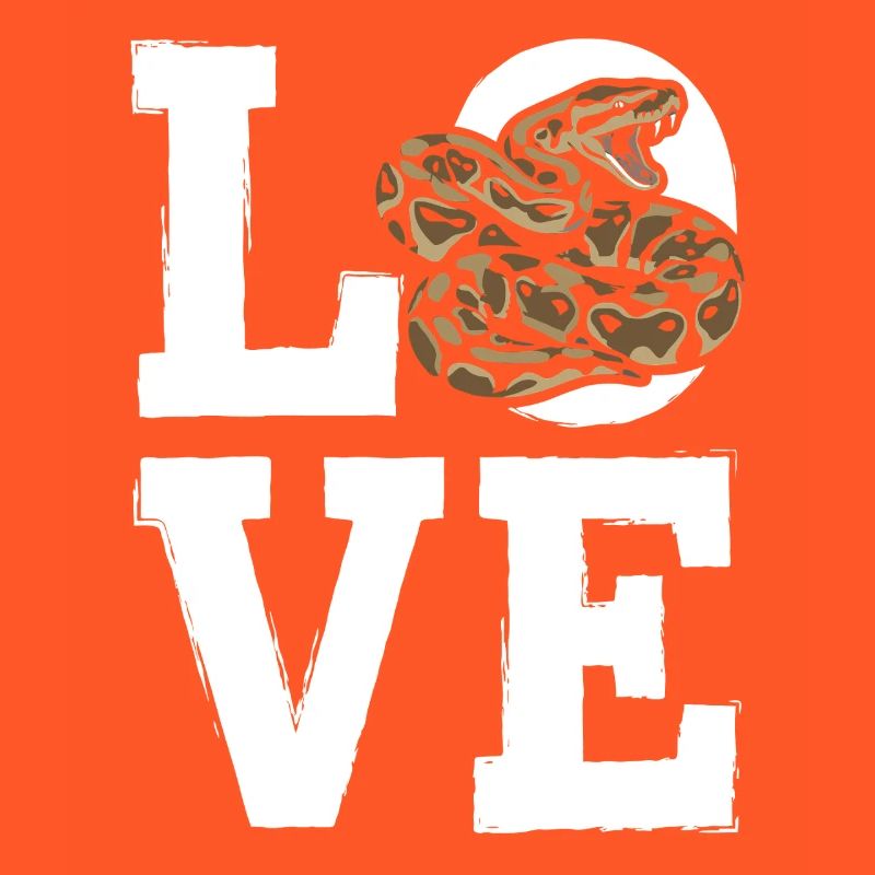 Königspython Schlangen LOVE Terrarium Python