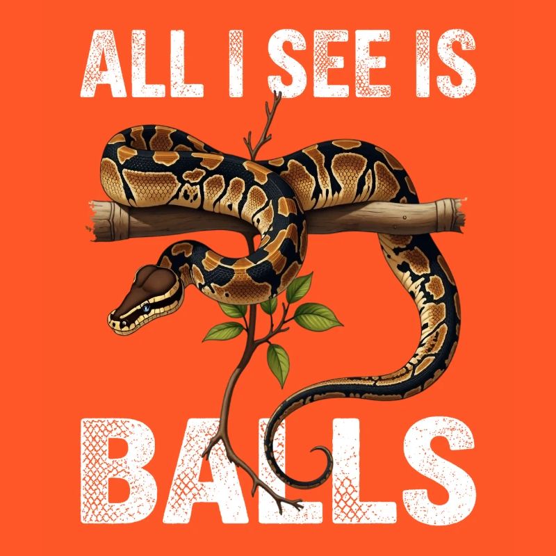 Python roi Serpents Amateurs de terrarium Python