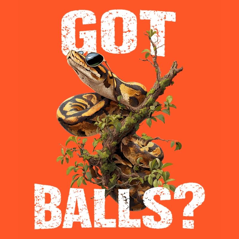 Python roi Serpents Amateurs de terrarium Python