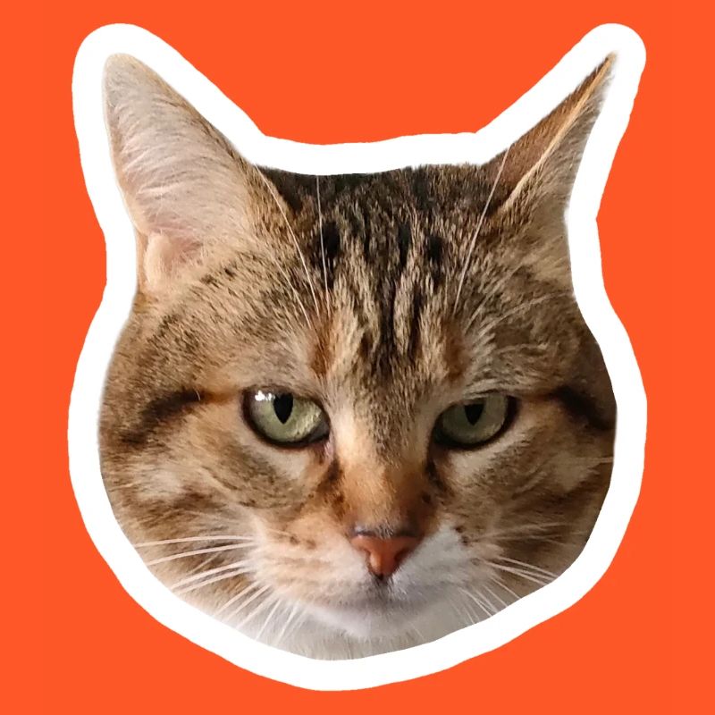 Missty Sad Decal