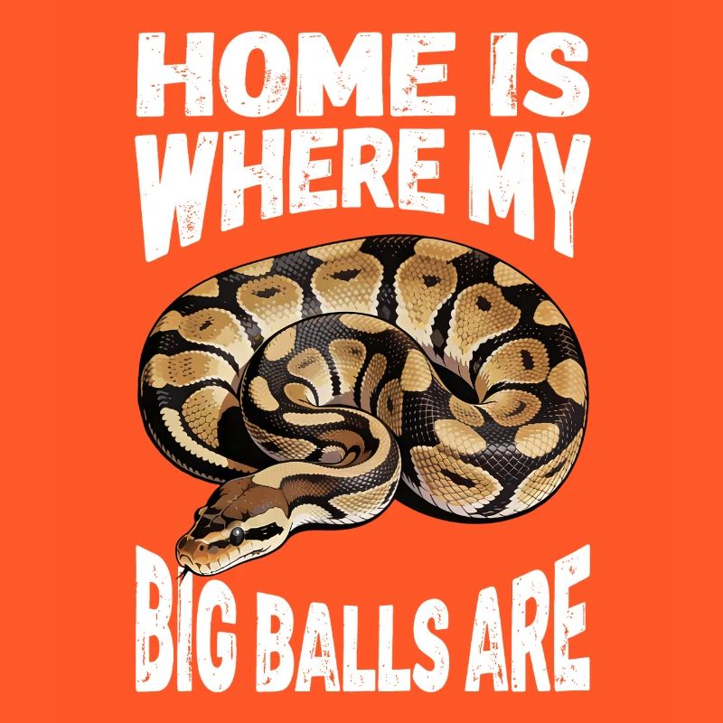 Python roi Serpents Amateurs de terrarium Python