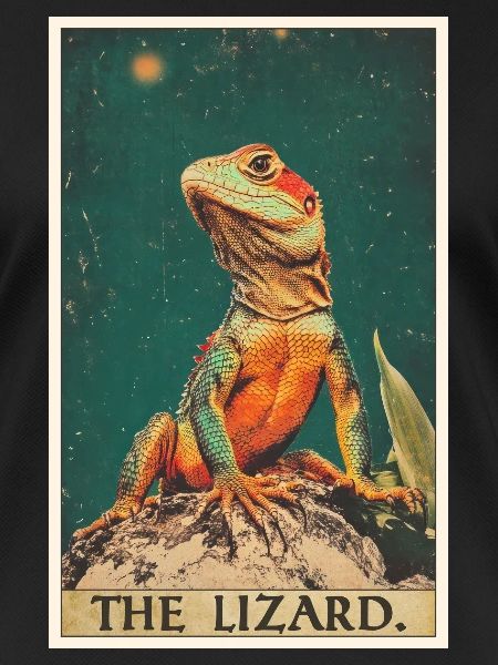 Lizards Lizard