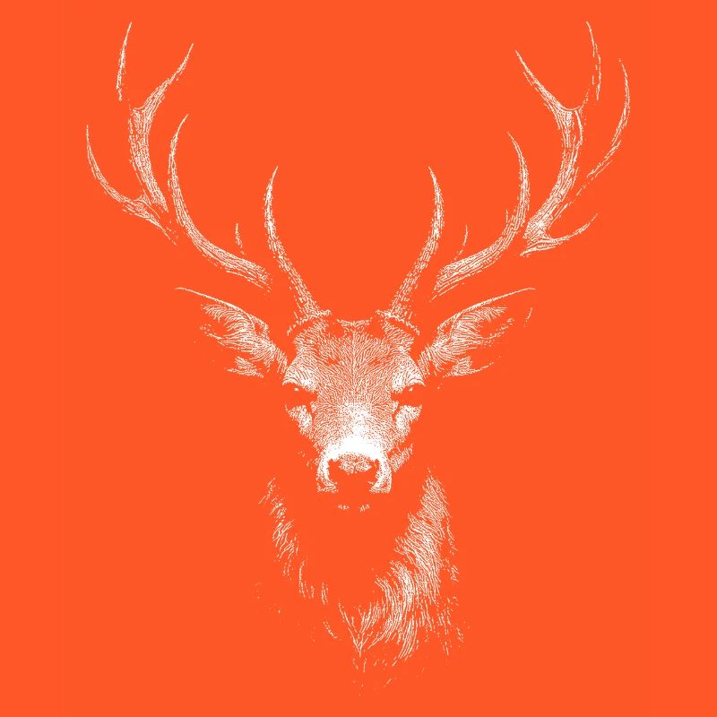 roe deer