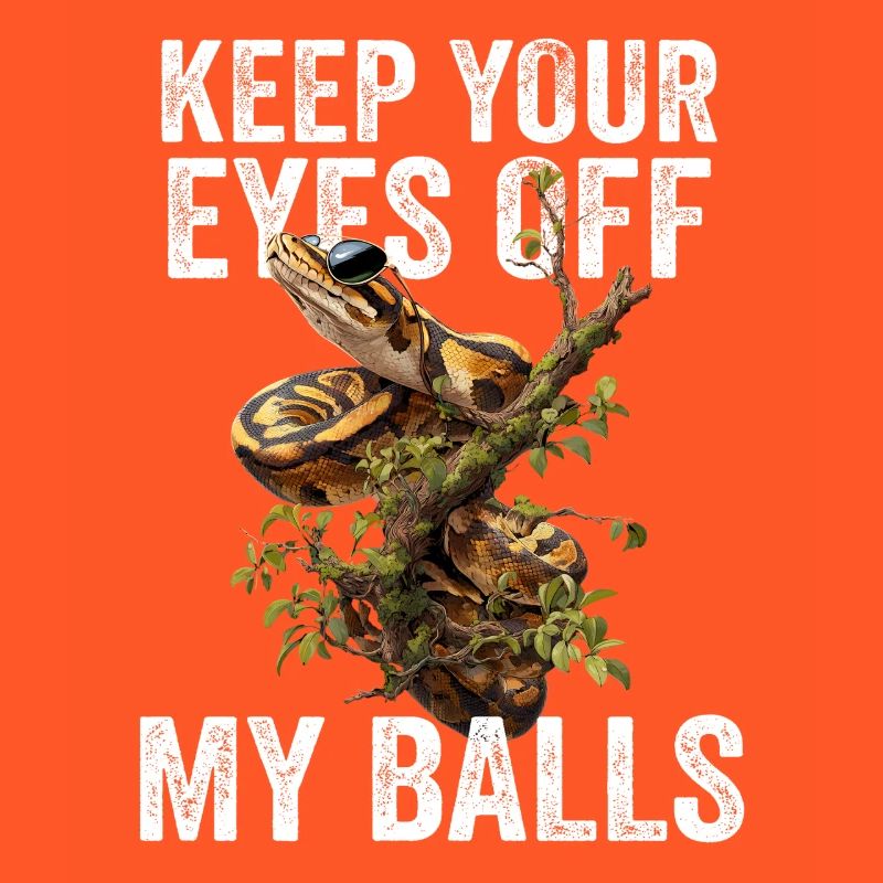 Königspython Schlangen Liebhaber Terrarium Python