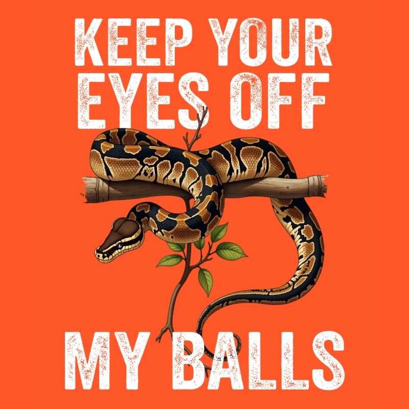 Königspython Schlangen Liebhaber Terrarium Python