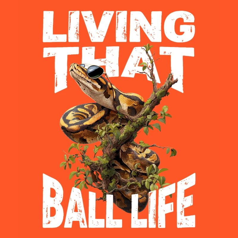 Königspython Schlangen Liebhaber Terrarium Python