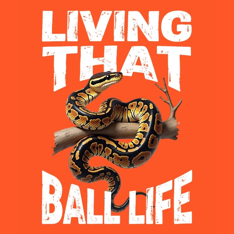 Königspython Schlangen Liebhaber Terrarium Python