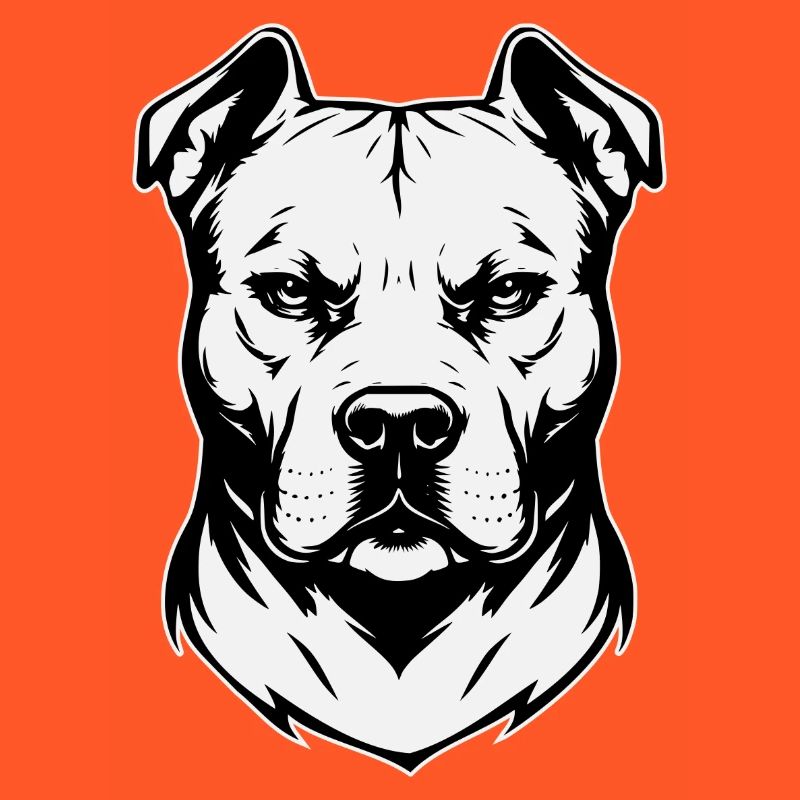Conception de tête de pitbull noir et blanc
