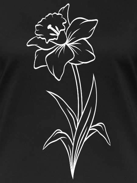 Narcissus