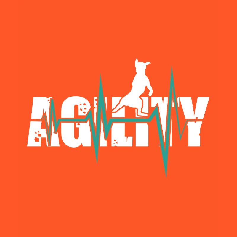 Chiens d'agilité - agilité