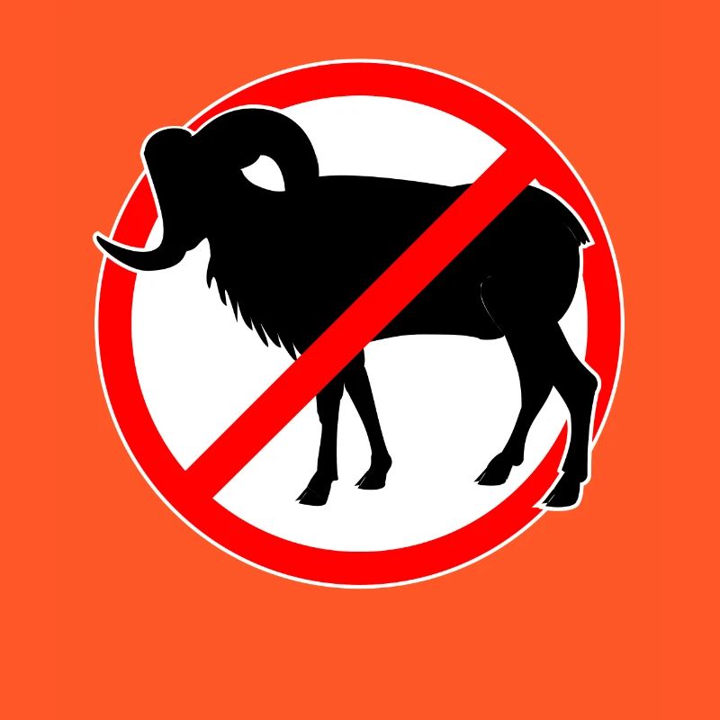 Chèvres ou mouflons interdits - chèvre