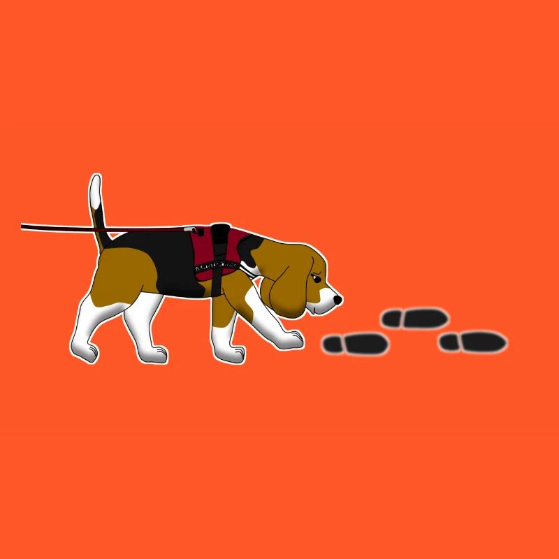 Mantrailing Beagle