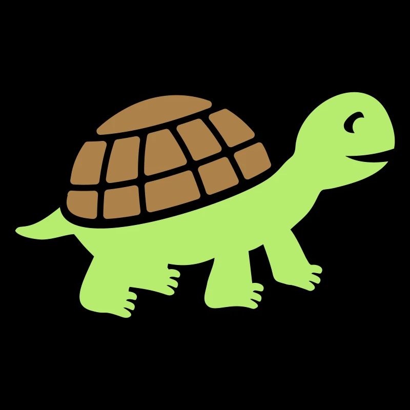 Cute turtle gift