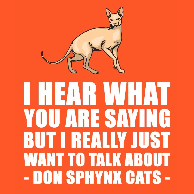 Don Sphynx Chat cadeau mignon