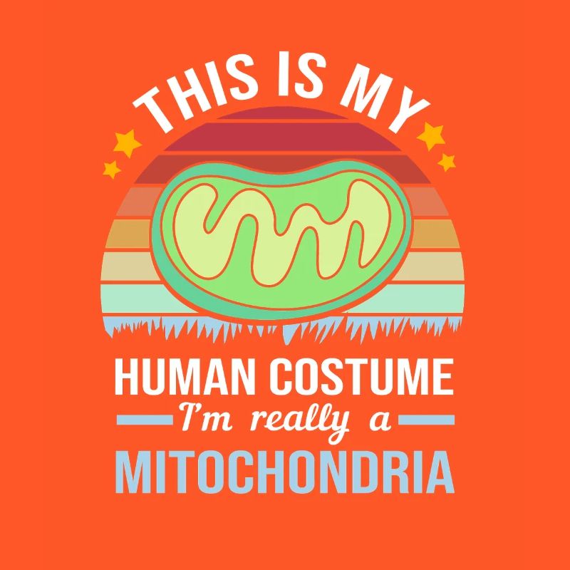 Formule structurelle de la molécule