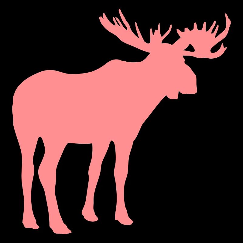 Elch - Moose - Elk