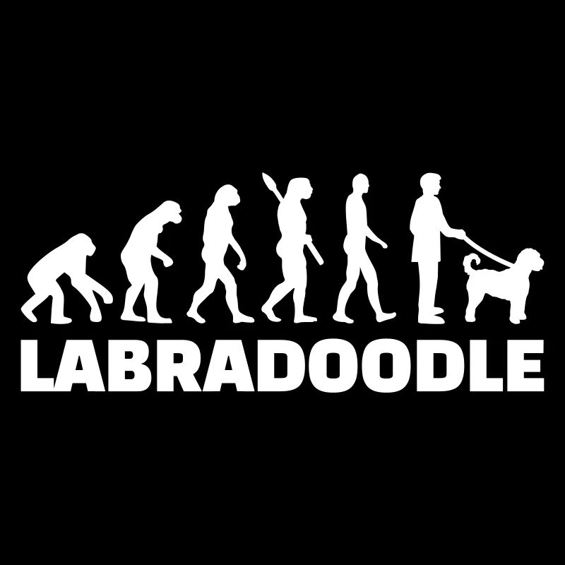 Labradoodle