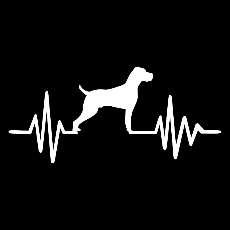 Weimaraner