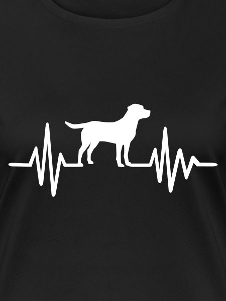 Labrador