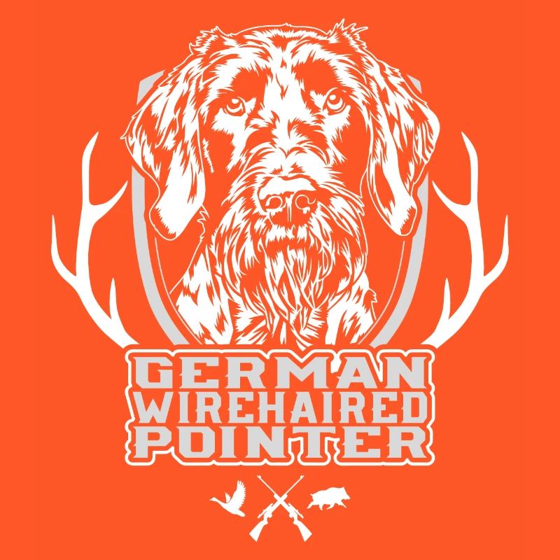 German Wirehaired Pointer Jagdhunde Hunde Wilsigns
