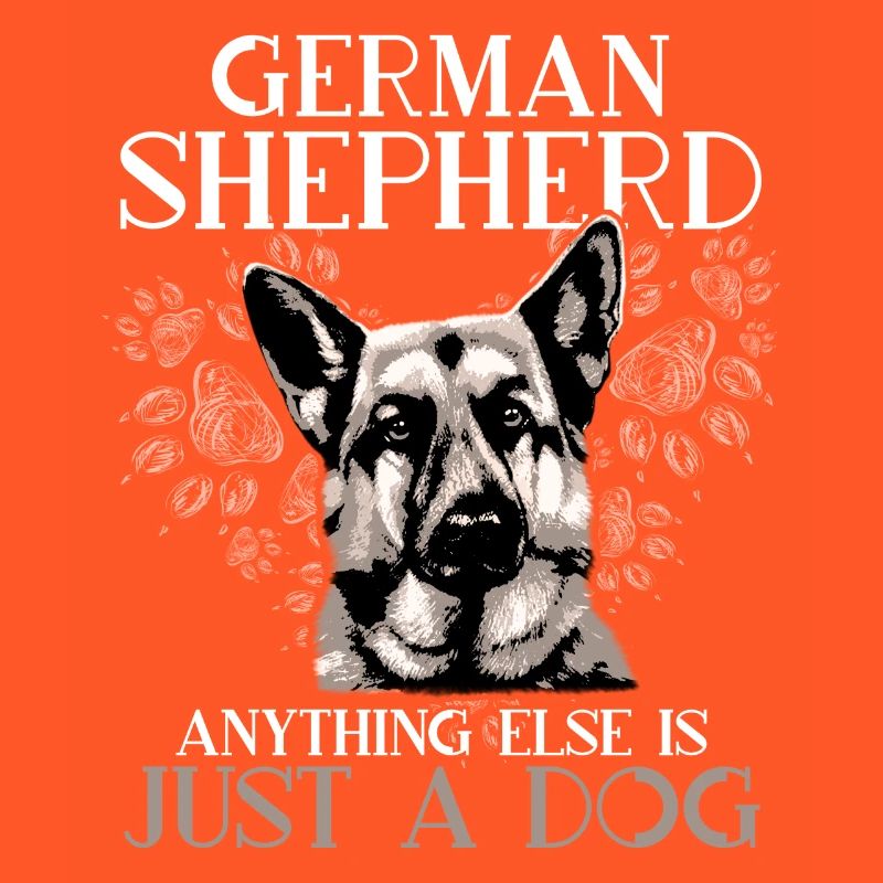 German shepherd dog
