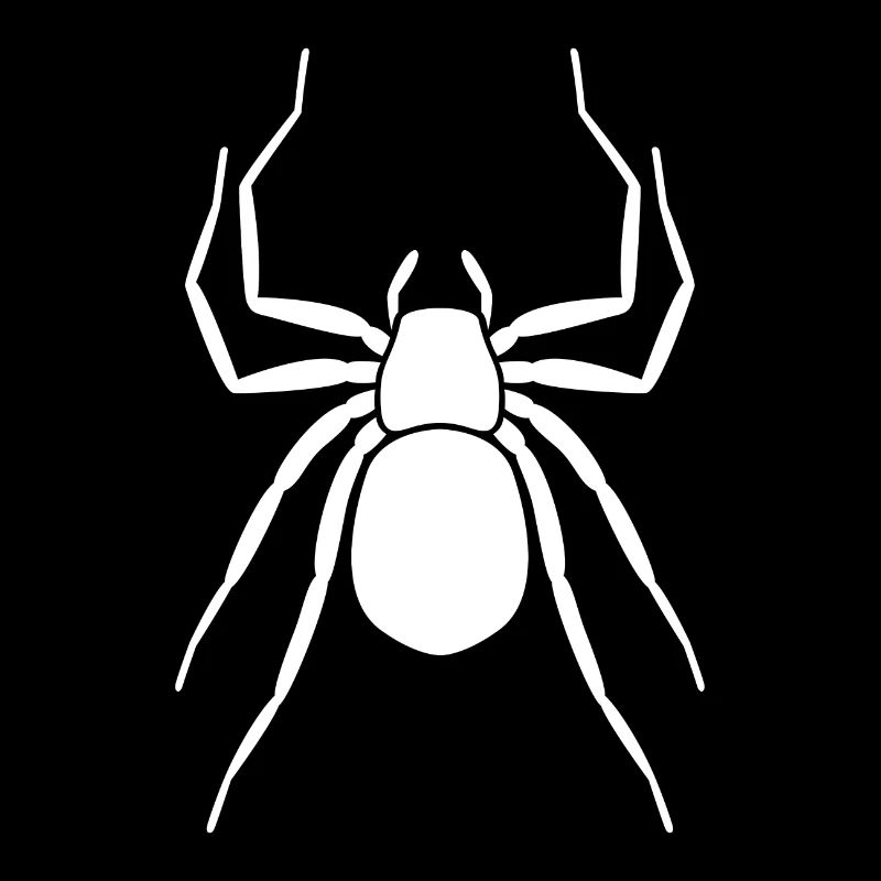 Spinne