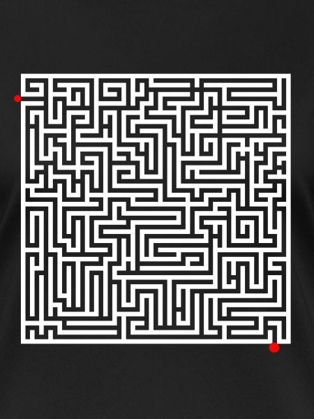 Maze puzzle