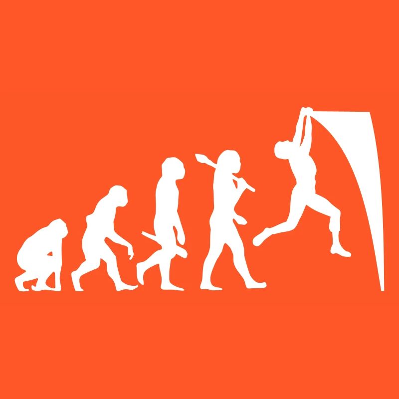 Evolution du guerrier ninja