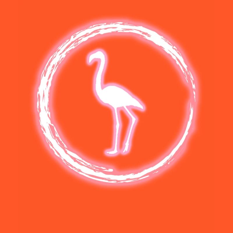 Glow Circle Flamingo Bright Neon Glowing Effect