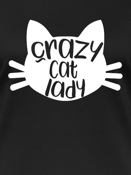 Crazy Cat Lady Cat Katte gave
