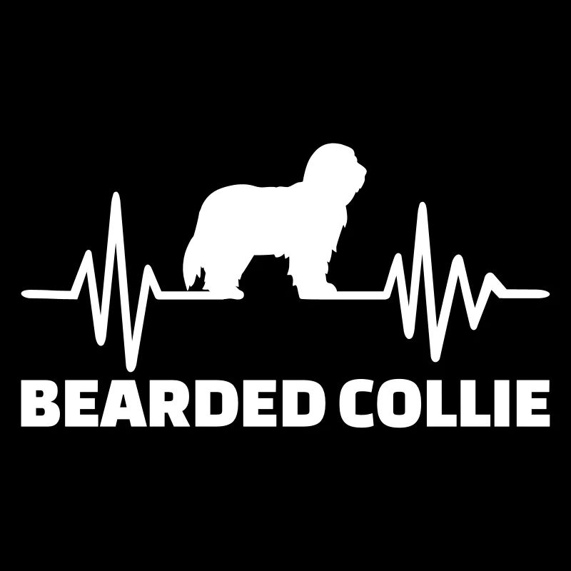 Bearded Collie