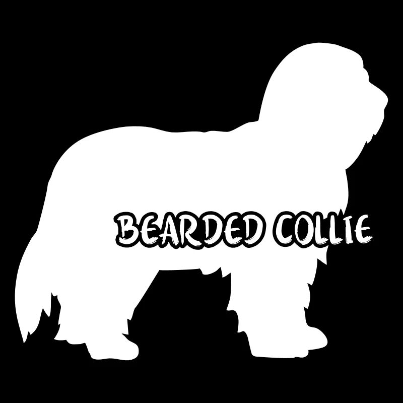 Bearded Collie