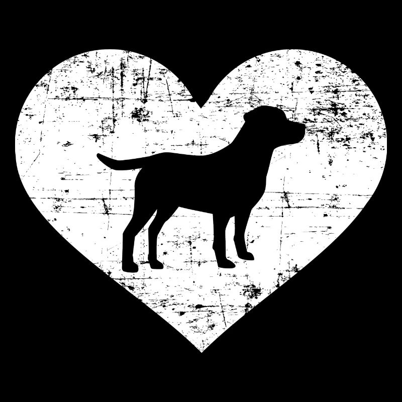 Labrador