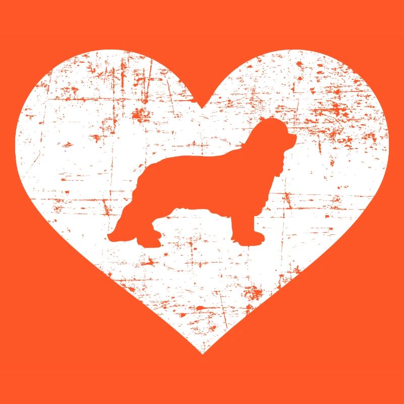 Cavalier King Charles