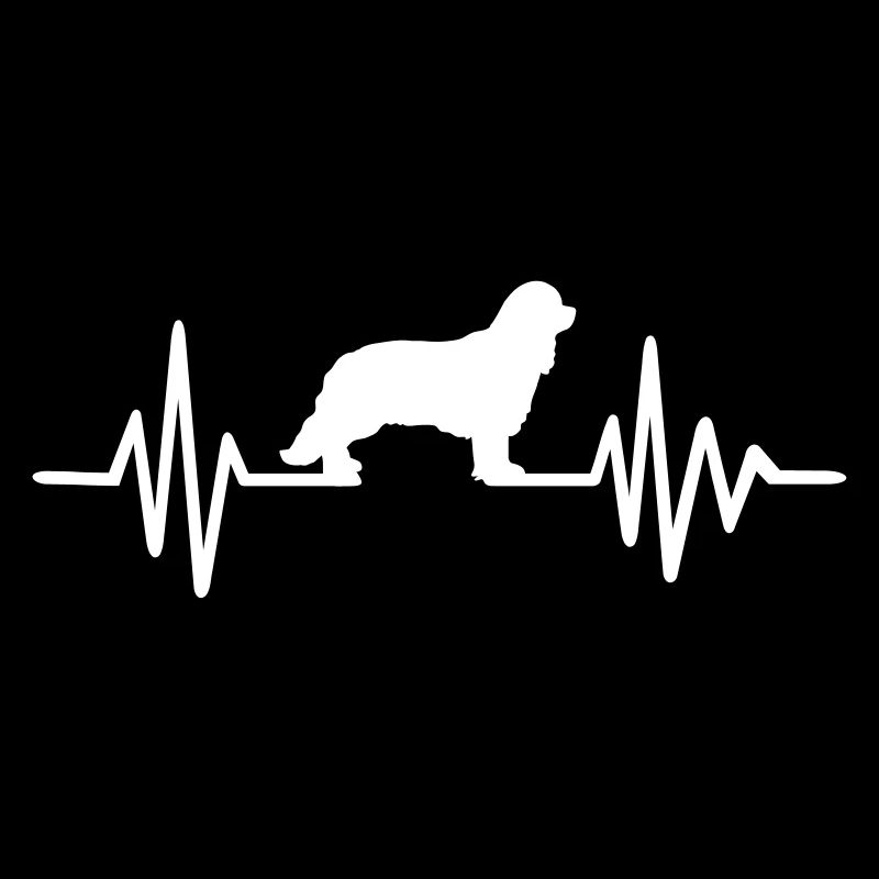 Cavalier King Charles