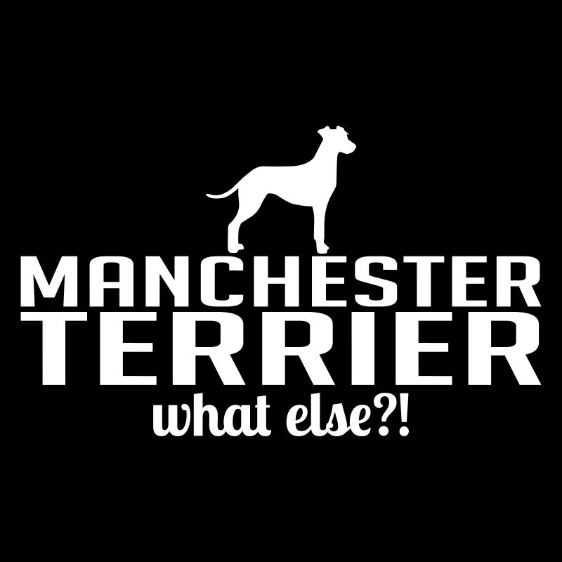 MANCHESTER TERRIER what else