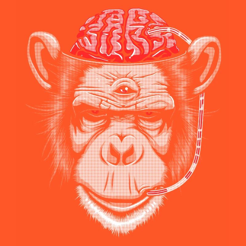 Brain Chimp 2