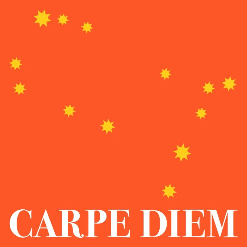 Carpe Diem nutze den Tag Sternbild Zwilling Gemini
