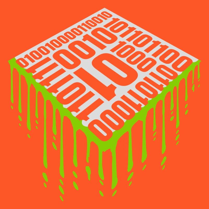 Langage de programme de code binaire