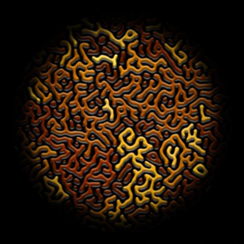 Motif de Turing