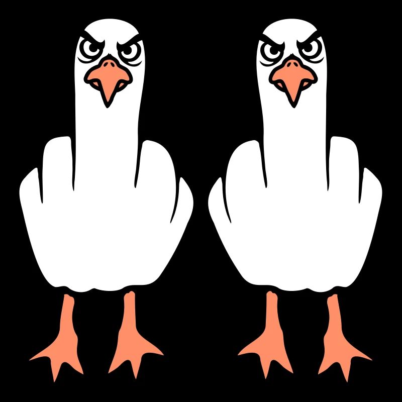 2 Seagulls Doigt d’honneur Insulte Stinkfinger Équipe
