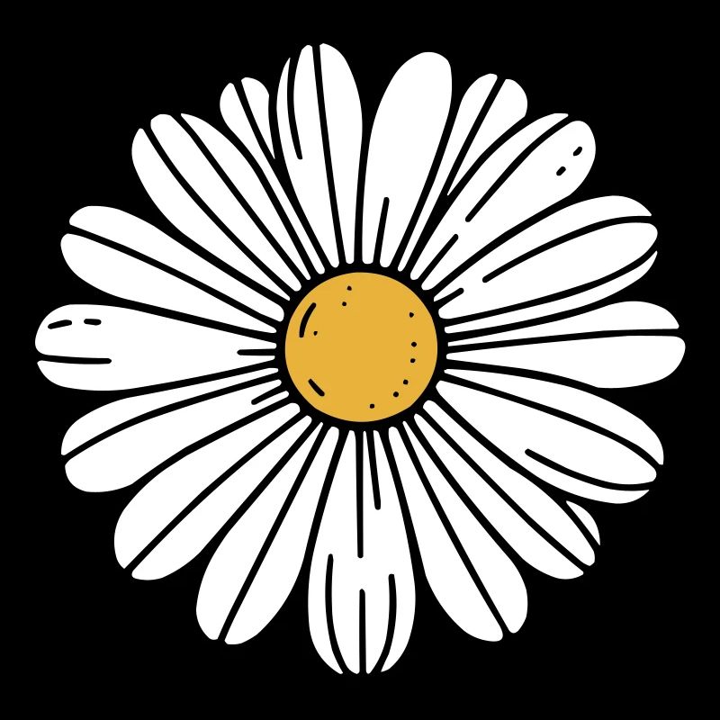 Daisy