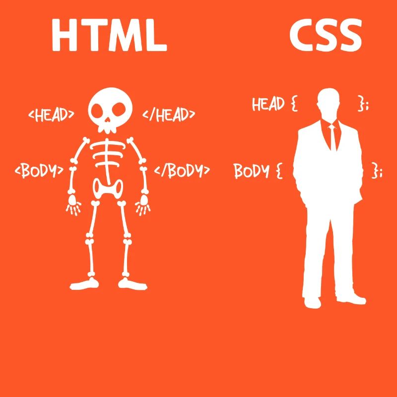 Code Css C++ Php Java Développeur Code Scripting