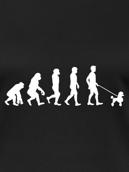 Poodle Evolution