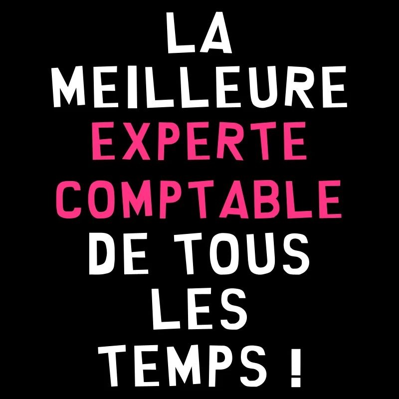 Expert Comptable / Comptabilité / Comptable /