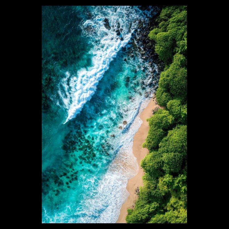 Tropical Shoreline from Above